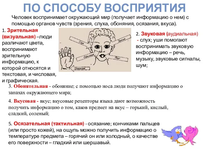 ПО СПОСОБУ ВОСПРИЯТИЯ Человек воспринимает окружающий мир (получает информацию о