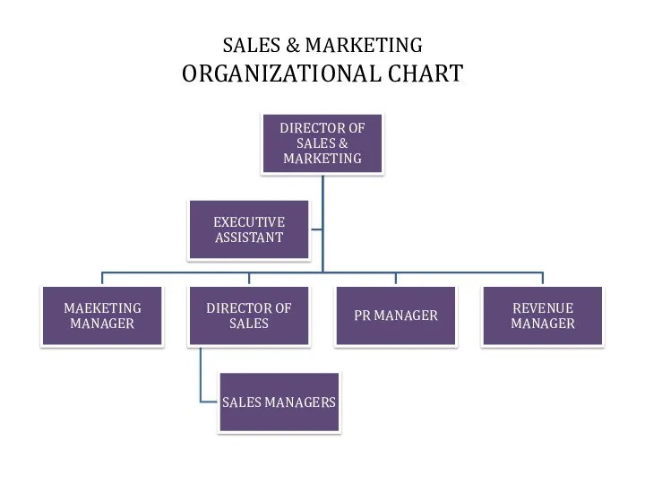 SALES & MARKETING ORGANIZATIONAL CHART