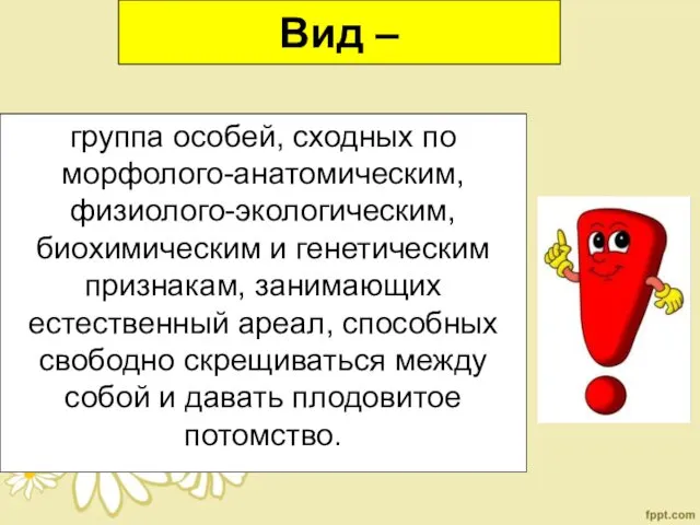 Вид – группа особей, сходных по морфолого-анатомическим, физиолого-экологическим, биохимическим и