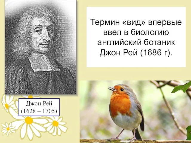 Термин «вид» впервые ввел в биологию английский ботаник Джон Рей