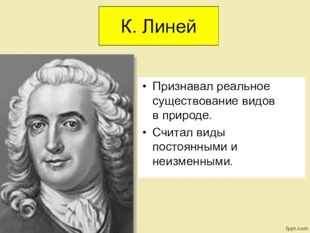 К. Линей Признавал реальное существование видов в природе. Считал виды постоянными и неизменными.