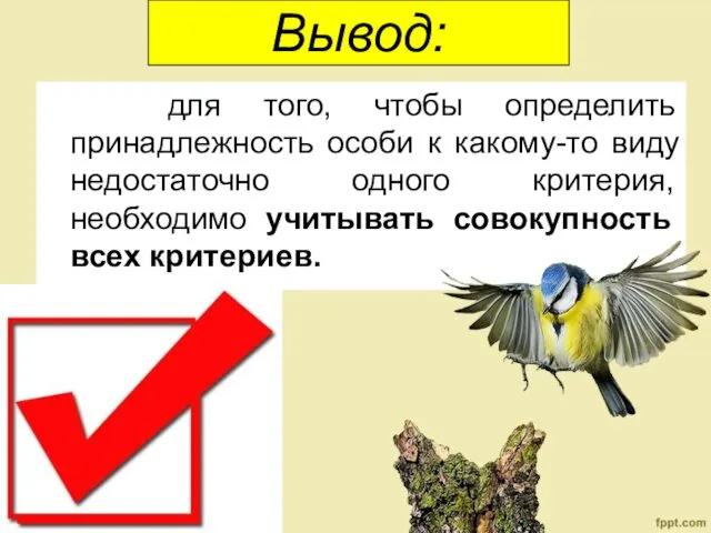 Вывод: для того, чтобы определить принадлежность особи к какому-то виду