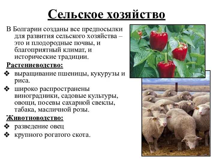 Сельское хозяйство В Болгарии созданы все предпосылки для развития сельского
