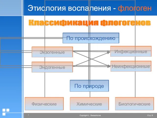 Этиология воспаления - флогоген Классификация флогогенов