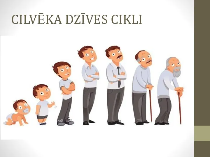 CILVĒKA DZĪVES CIKLI