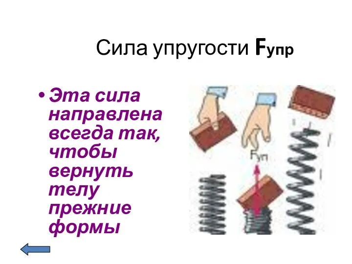 Сила упругости Fупр Эта сила направлена всегда так, чтобы вернуть телу прежние формы