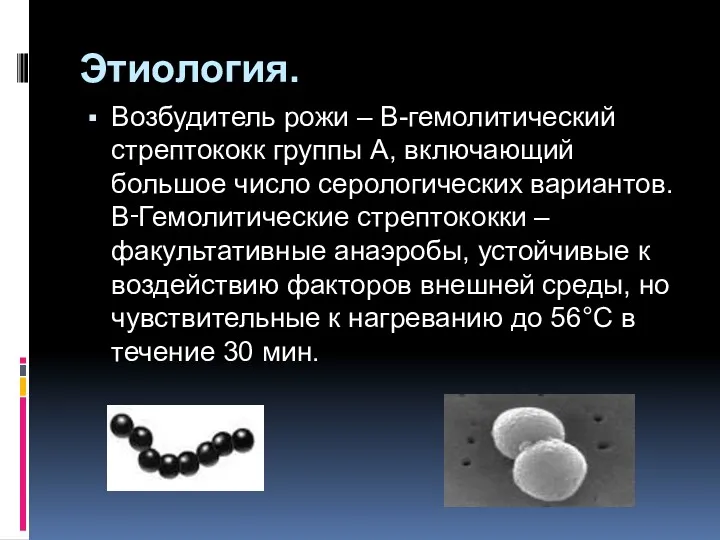 Этиология. Возбудитель рожи – В-гемолитический стрептококк группы А, включающий большое