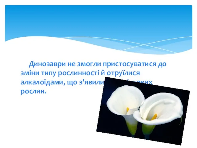 Динозаври не змогли пристосуватися до зміни типу рослинності й отруїлися алкалоїдами, що з'явилися в квіткових рослин.