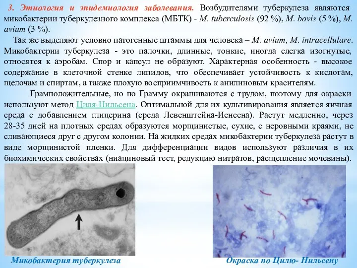 3. Этиология и эпидемиология заболевания. Возбудителями туберкулеза являются микобактерии туберкулезного