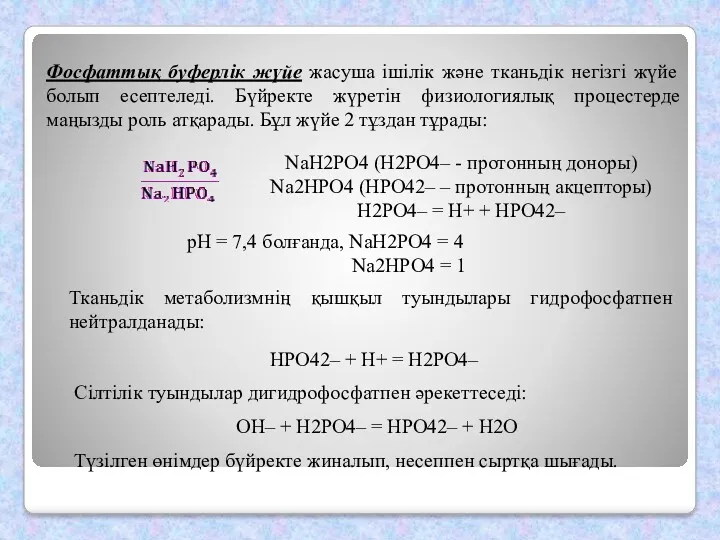 Фосфаттық буферлiк жүйе жасуша iшiлiк және тканьдiк негiзгi жүйе болып