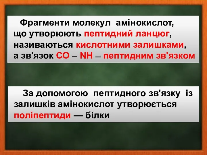 Фрагменти молекул амінокислот, що утворюють пептидний ланцюг, називаються кислотними залишками,