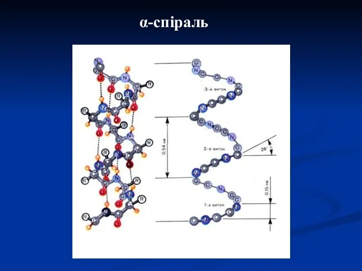 α-спіраль