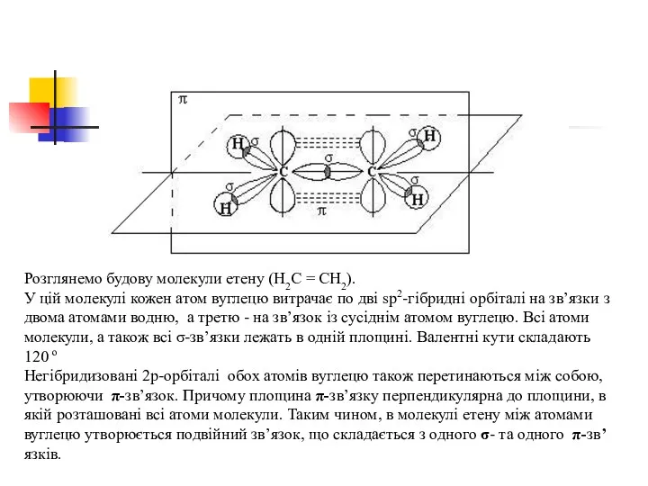 Розглянемо будову молекули етену (Н2С = СН2). У цій молекулі кожен атом вуглецю