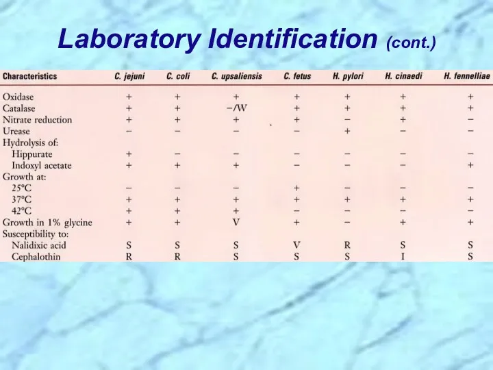 Laboratory Identification (cont.)