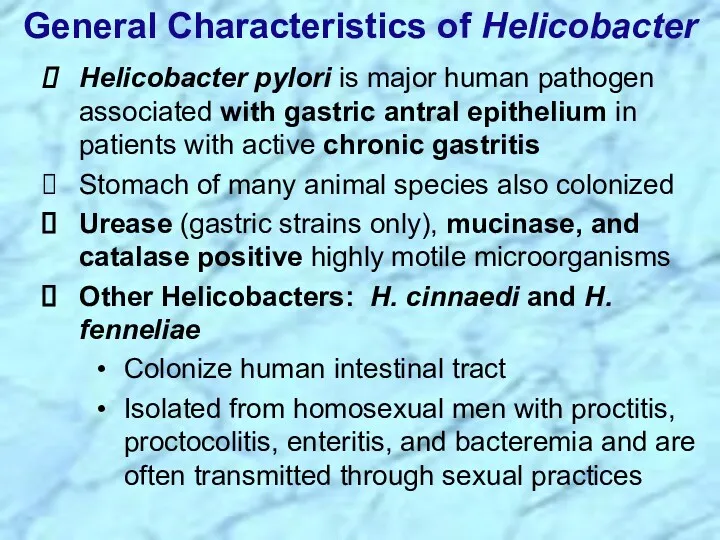 Helicobacter pylori is major human pathogen associated with gastric antral