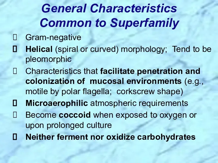 Gram-negative Helical (spiral or curved) morphology; Tend to be pleomorphic