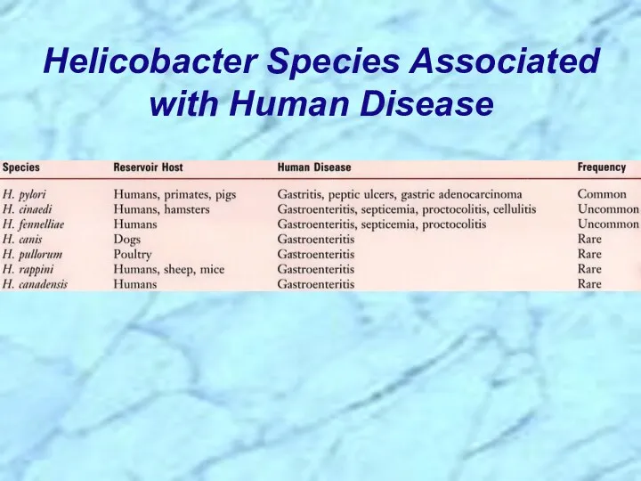 Helicobacter Species Associated with Human Disease