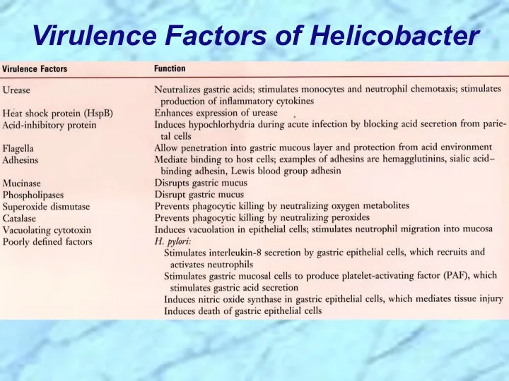 Virulence Factors of Helicobacter