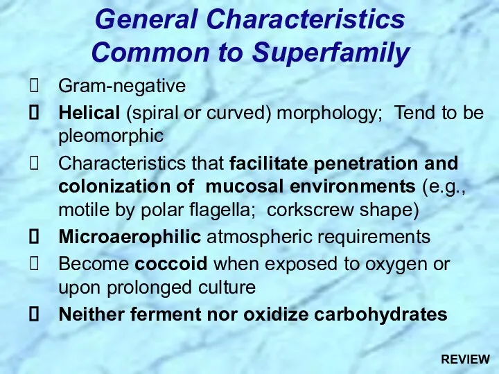 Gram-negative Helical (spiral or curved) morphology; Tend to be pleomorphic