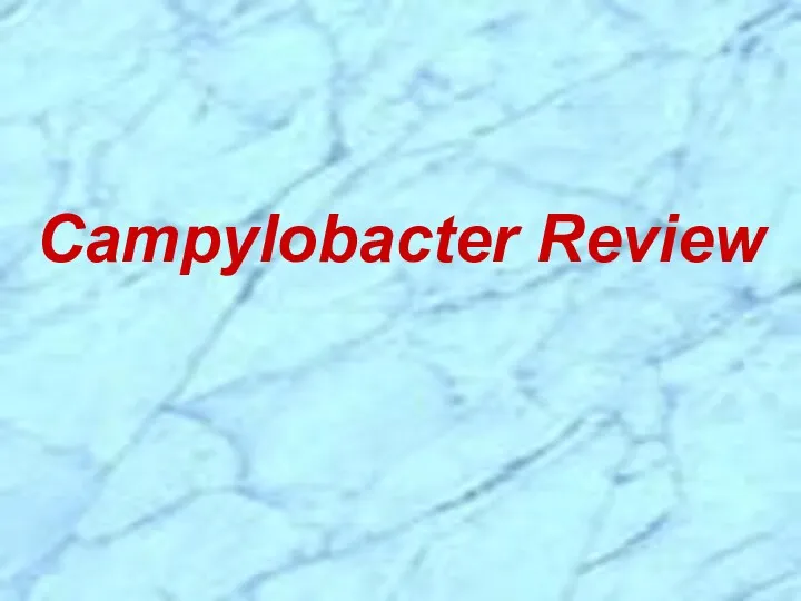 Campylobacter Review