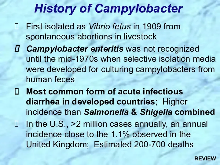 First isolated as Vibrio fetus in 1909 from spontaneous abortions