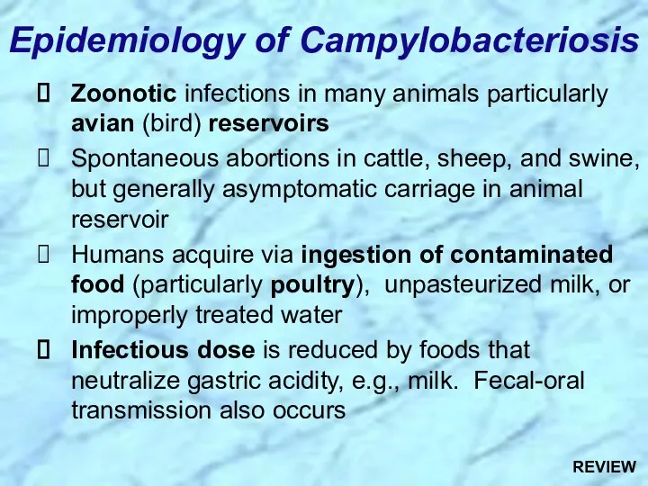 Zoonotic infections in many animals particularly avian (bird) reservoirs Spontaneous