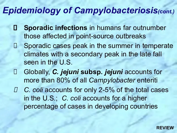 Sporadic infections in humans far outnumber those affected in point-source