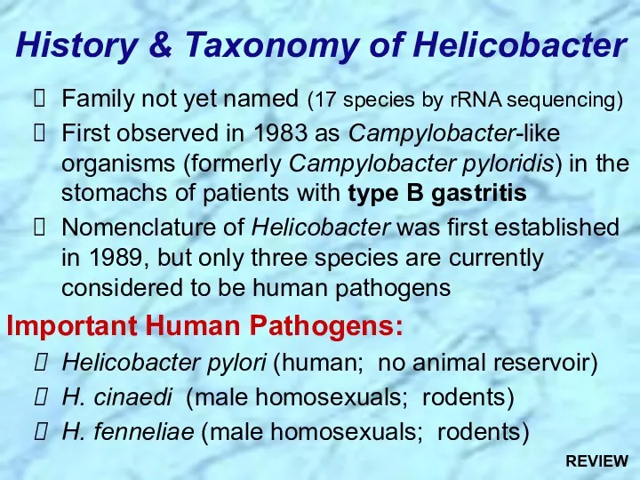 History & Taxonomy of Helicobacter Family not yet named (17