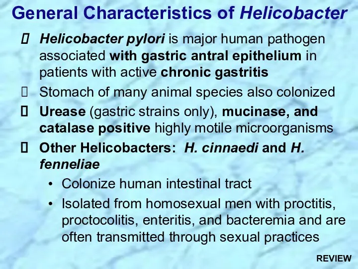 Helicobacter pylori is major human pathogen associated with gastric antral