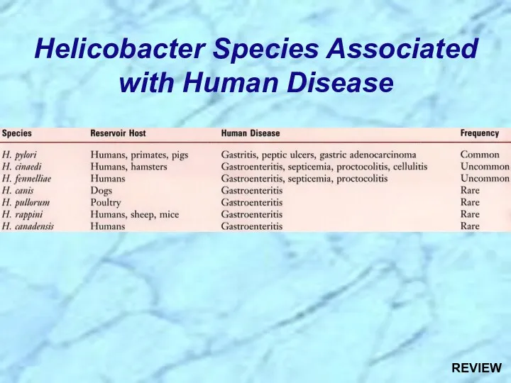 Helicobacter Species Associated with Human Disease REVIEW