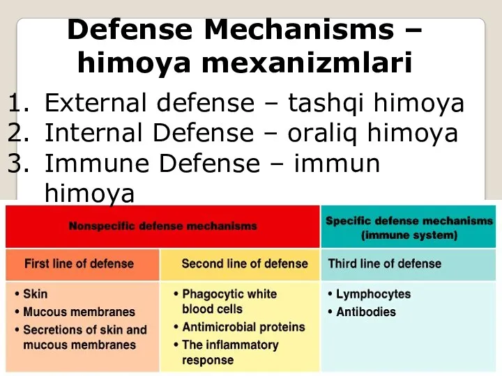 Defense Mechanisms – himoya mexanizmlari External defense – tashqi himoya