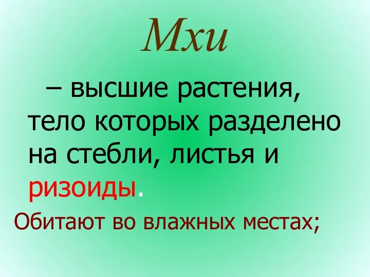 Мхи – высшие растения, тело которых разделено на стебли, листья и ризоиды. Обитают во влажных местах;