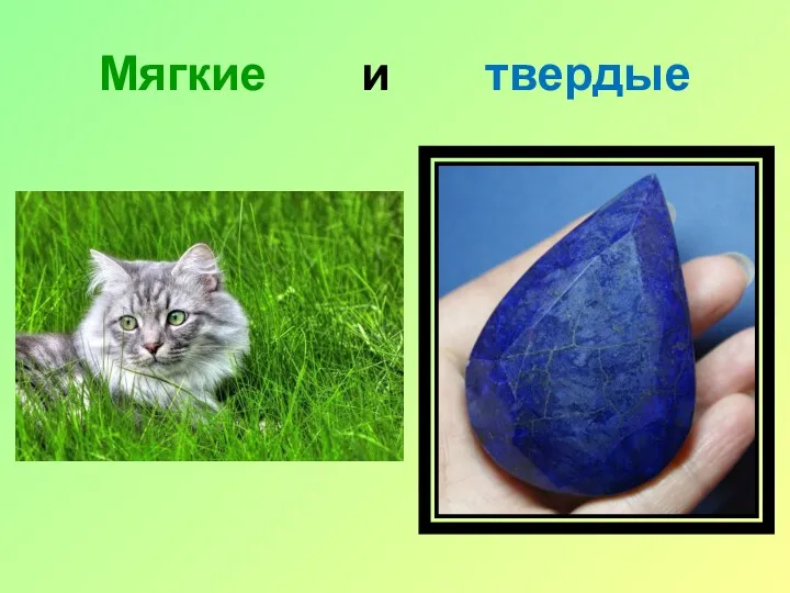 Мягкие и твердые