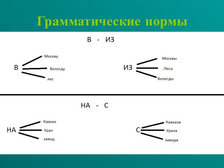 Грамматические нормы