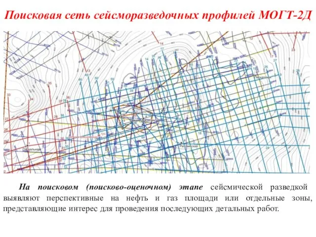 Поисковая сеть сейсморазведочных профилей МОГТ-2Д На поисковом (поисково-оценочном) этапе сейсмической