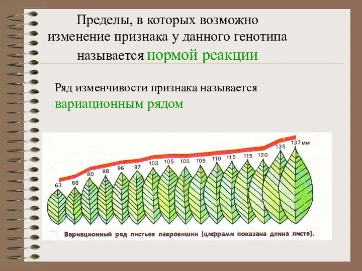 Пределы, в которых возможно изменение признака у данного генотипа называется