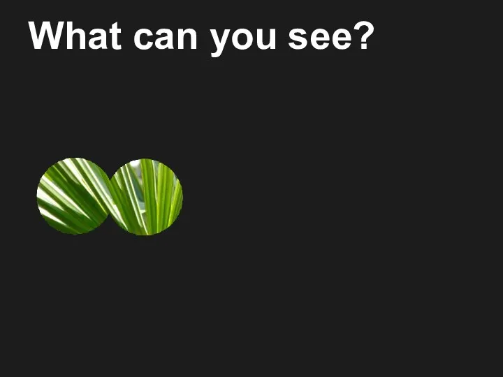 What can you see?