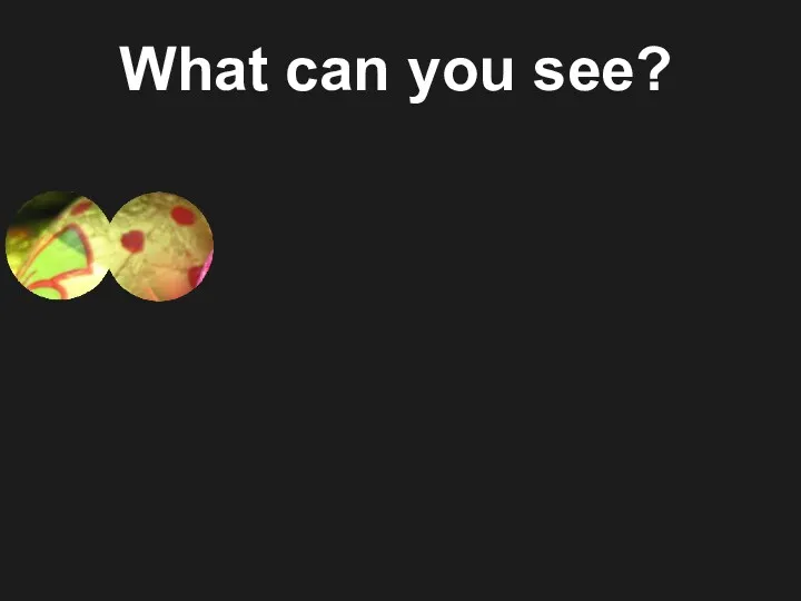 What can you see?