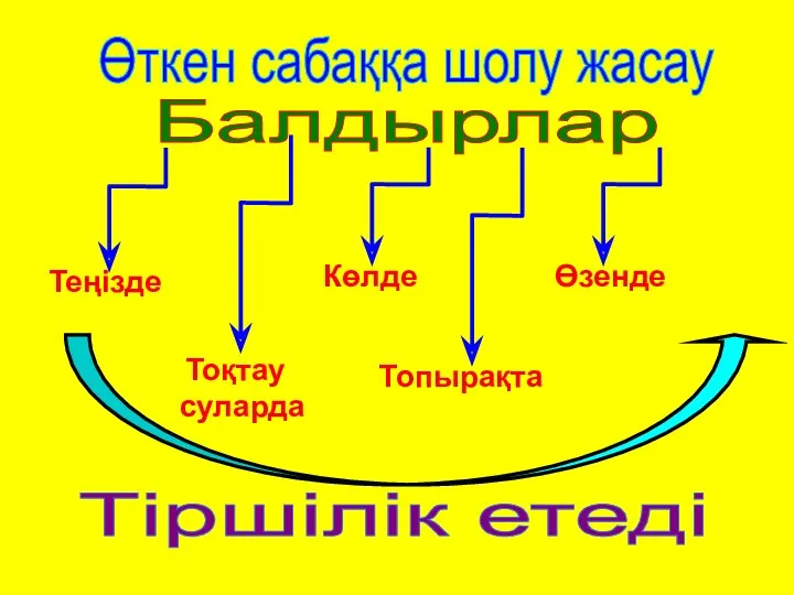 Балдырлар Теңізде Көлде Өзенде Тоқтау суларда Топырақта Тіршілік етеді Өткен сабаққа шолу жасау