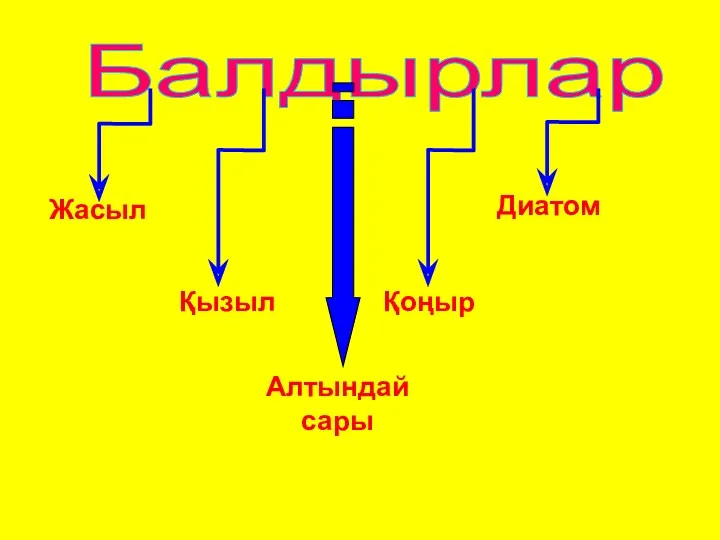 Балдырлар Қызыл Қоңыр Диатом Жасыл Алтындай сары