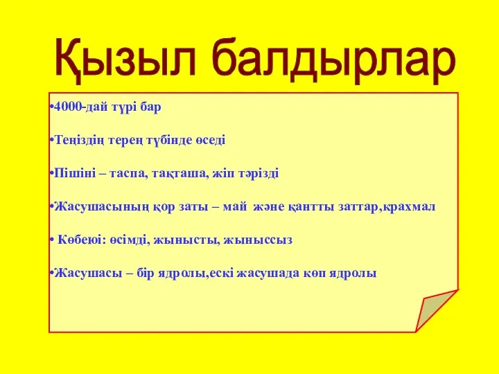 4000-дай түрі бар Теңіздің терең түбінде өседі Пішіні – таспа,