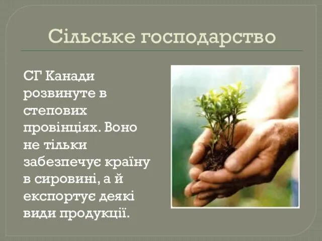 Сільське господарство СГ Канади розвинуте в степових провінціях. Воно не