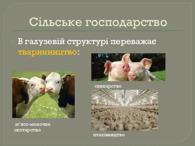 Сільське господарство В галузевій структурі переважає тваринництво: м’ясо-молочне скотарство свинарство птахівництво