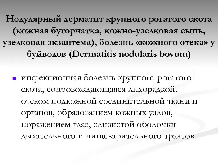 Нодулярный дерматит крупного рогатого скота (кожная бугорчатка, кожно-узелковая сыпь, узелковая