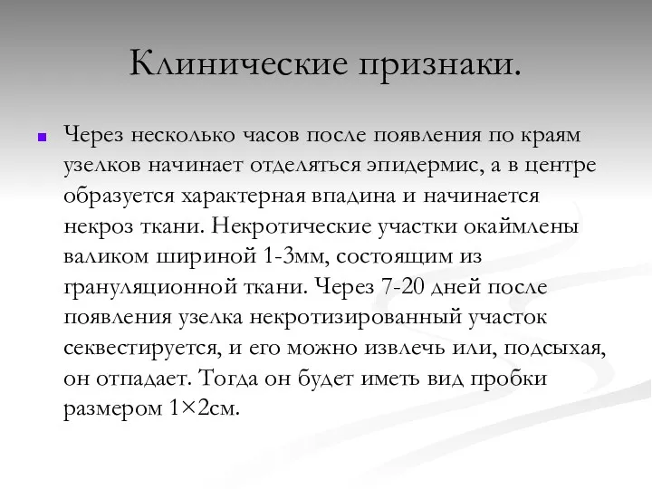 Клинические признаки. Через несколько часов после появления по краям узелков