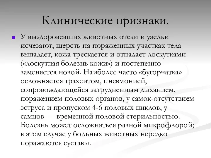 Клинические признаки. У выздоровевших животных отеки и узелки исчезают, шерсть