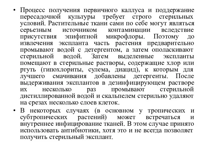 Процесс получения первичного каллуса и поддержание пересадочной культуры требует строго