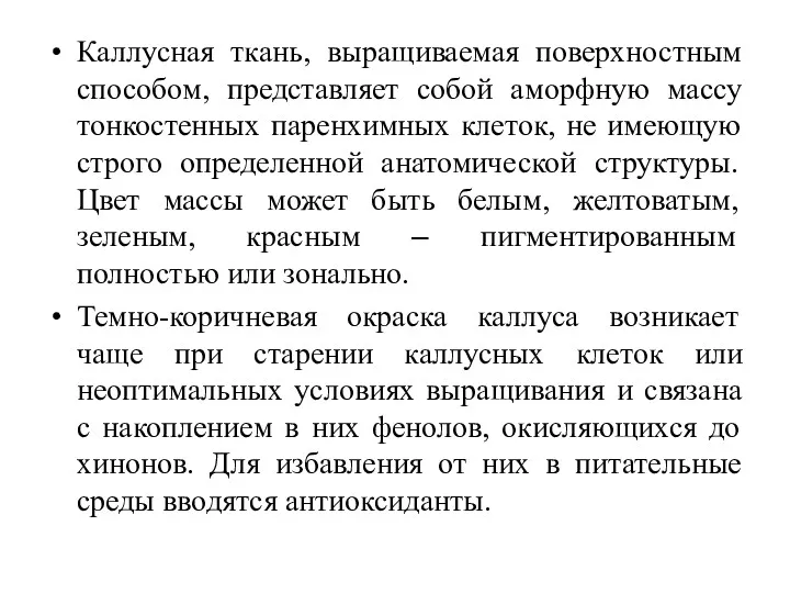 Каллусная ткань, выращиваемая поверхностным способом, представляет собой аморфную массу тонкостенных