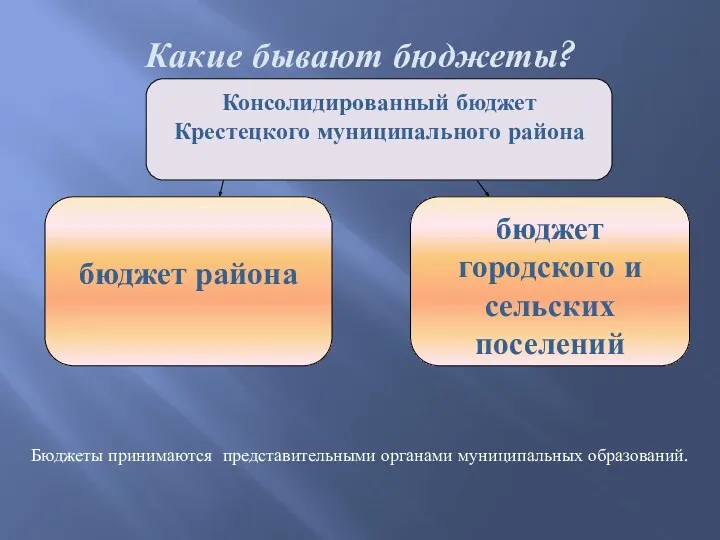 Какие бывают бюджеты? Бюджеты принимаются представительными органами муниципальных образований.