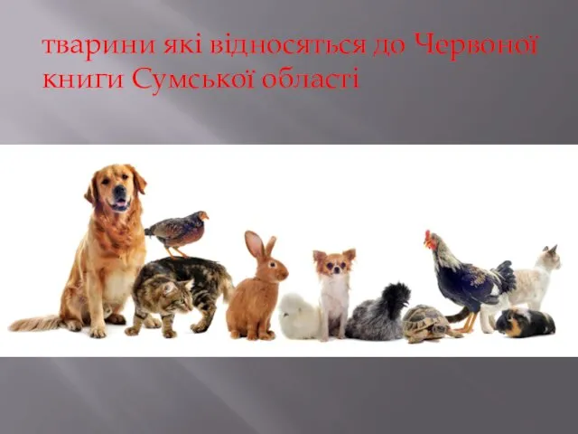 тварини які відносяться до Червоної книги Сумської області